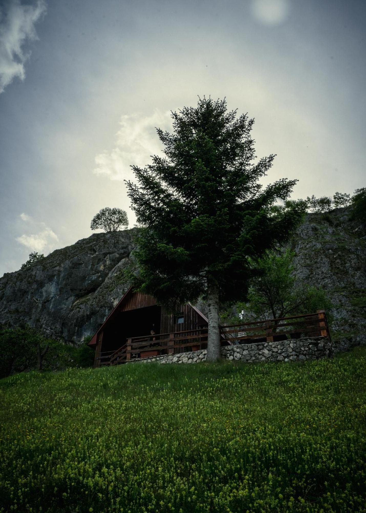 Detached House Milivoje Hotel Poscenje Exterior photo